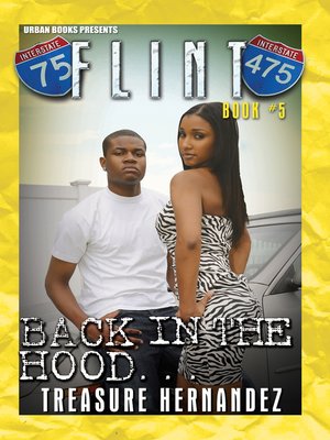cover image of Flint Book 5